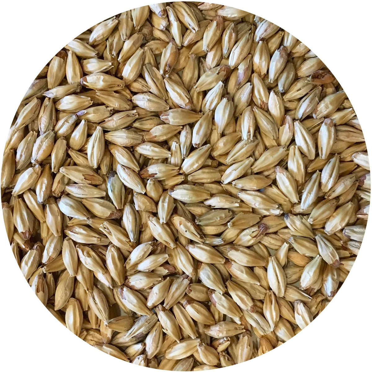 50 lb Sack Munich-style Malt S95135