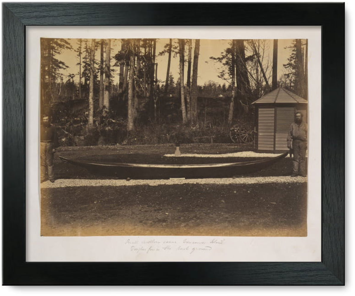 Framed Print: Small Northern Canoe, Vancouver Island - Douglas Firs B44509
