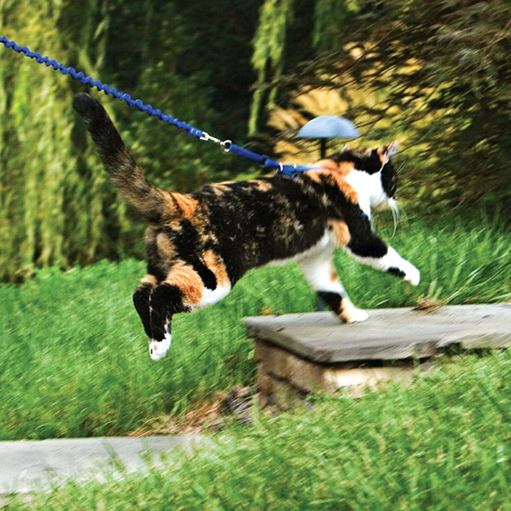 Come with Me Kitty Harness Bungee Leash R701