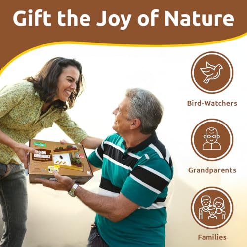 Woodworking Kit DIY Birdhouse F6169