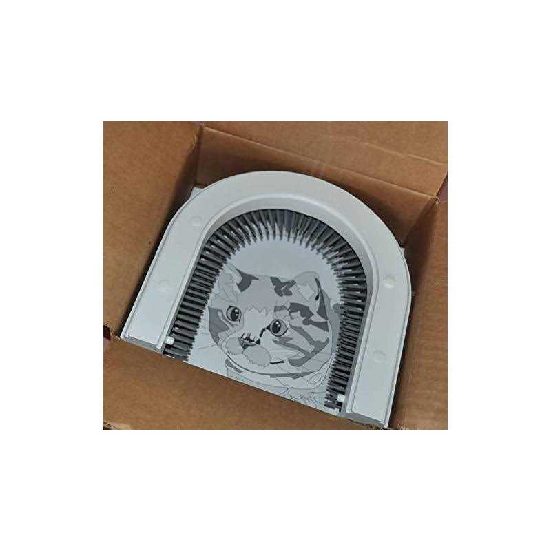 Cat Door W8867