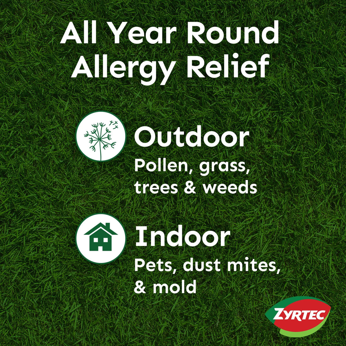 24 Hour Allergy Relief Tablets 10 mg Cetirizine HCl 30 Ct O491700