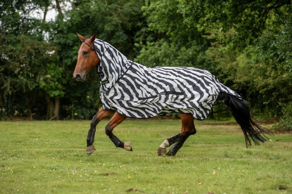 Zebra Sweet Itch E6569