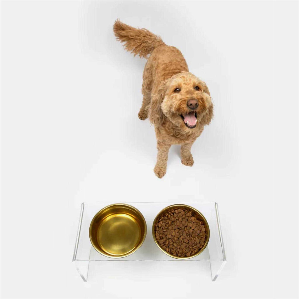 Clear Double Bowl Pet Feeder B18892