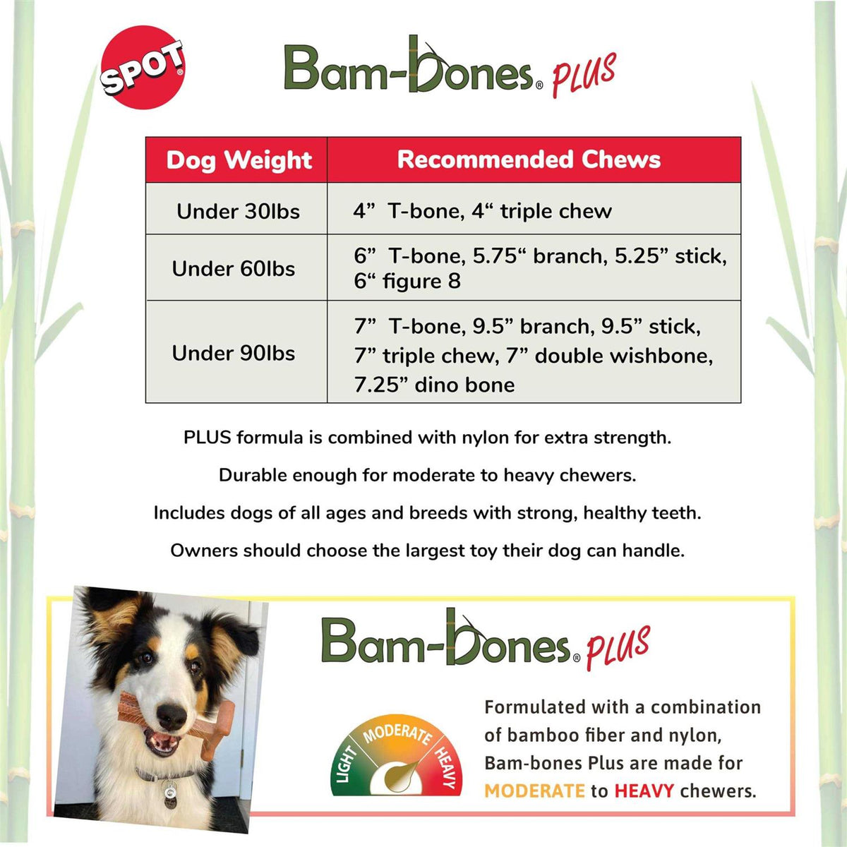 Beef Pet Supplies H83779