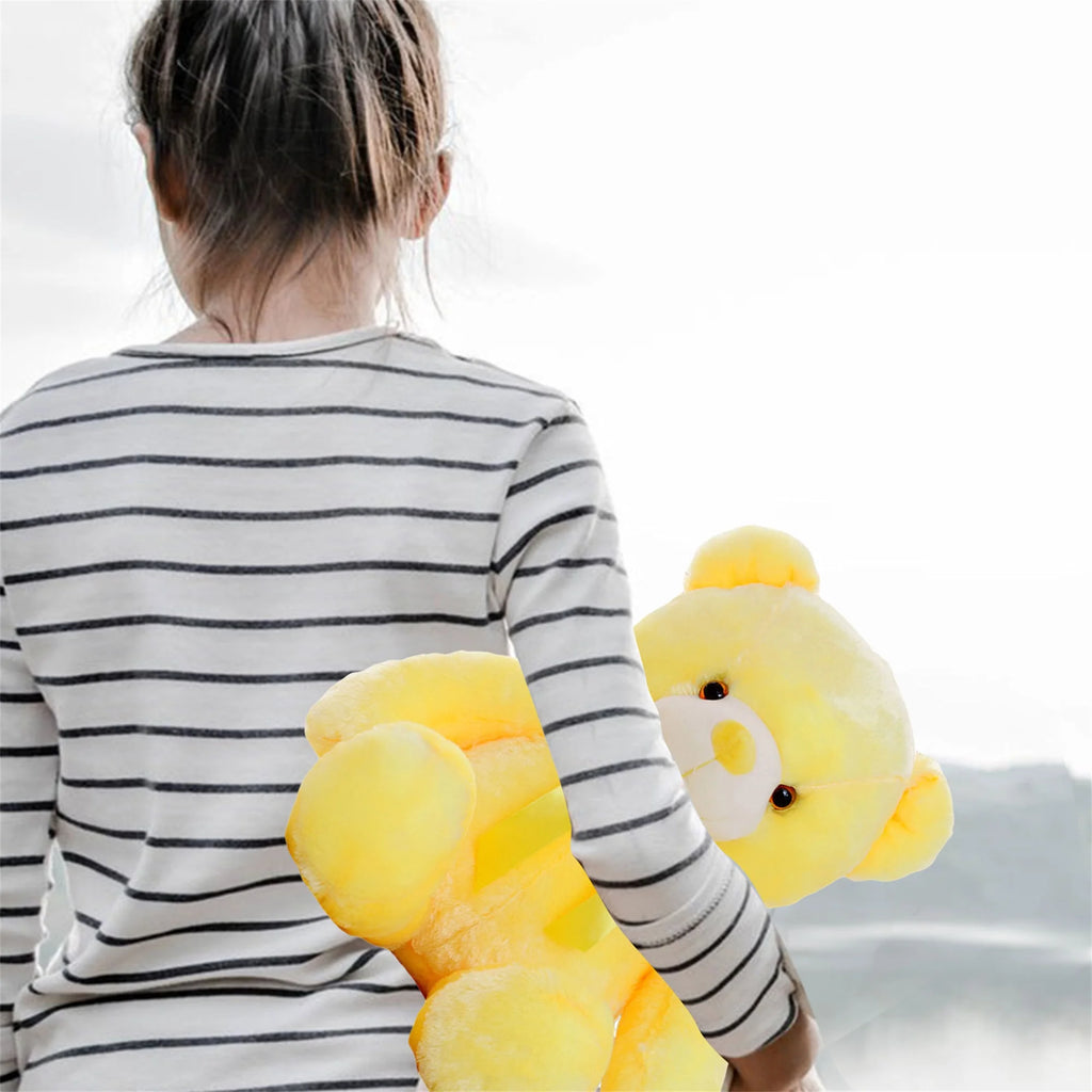 Colorful Glowing LED Teddy Bear Plush Toy F85641