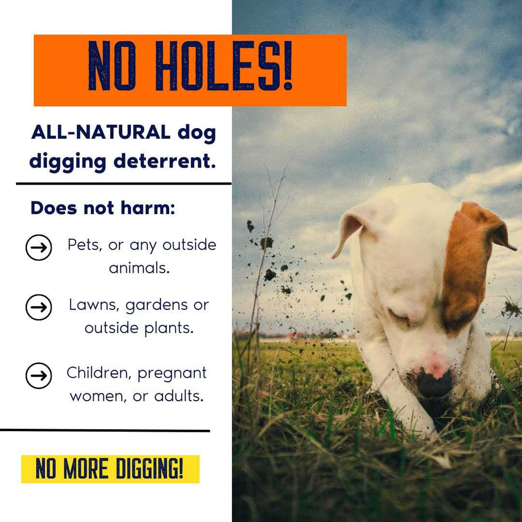 Dog Digging Prevention Gallon Concentrate I67728