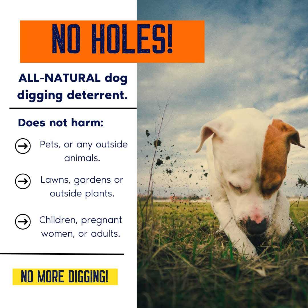 Dog Digging Prevention Gallon Concentrate I67728
