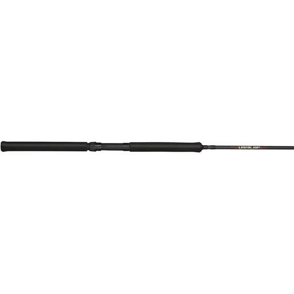 2 Piece 10' Foam Handle Graphite Fishing Rod L917