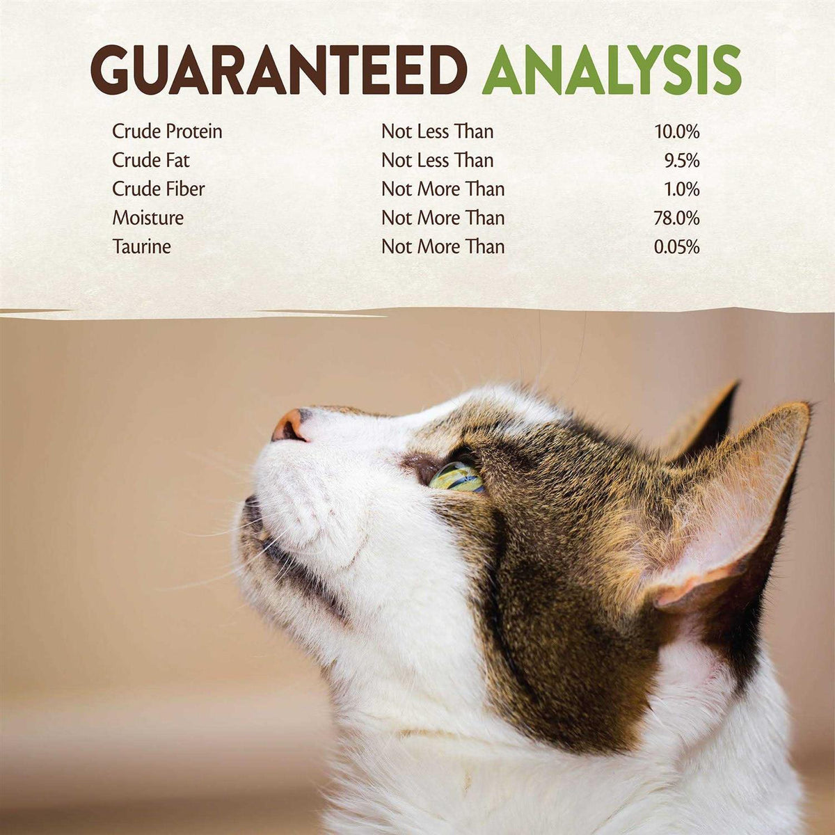 Cat Food E739