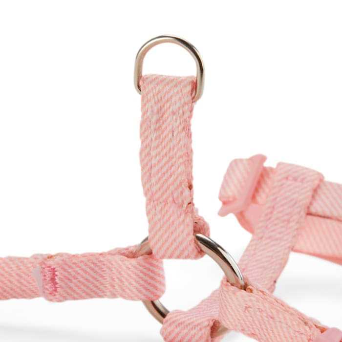 Kitten Harness & Leash Set Z716382