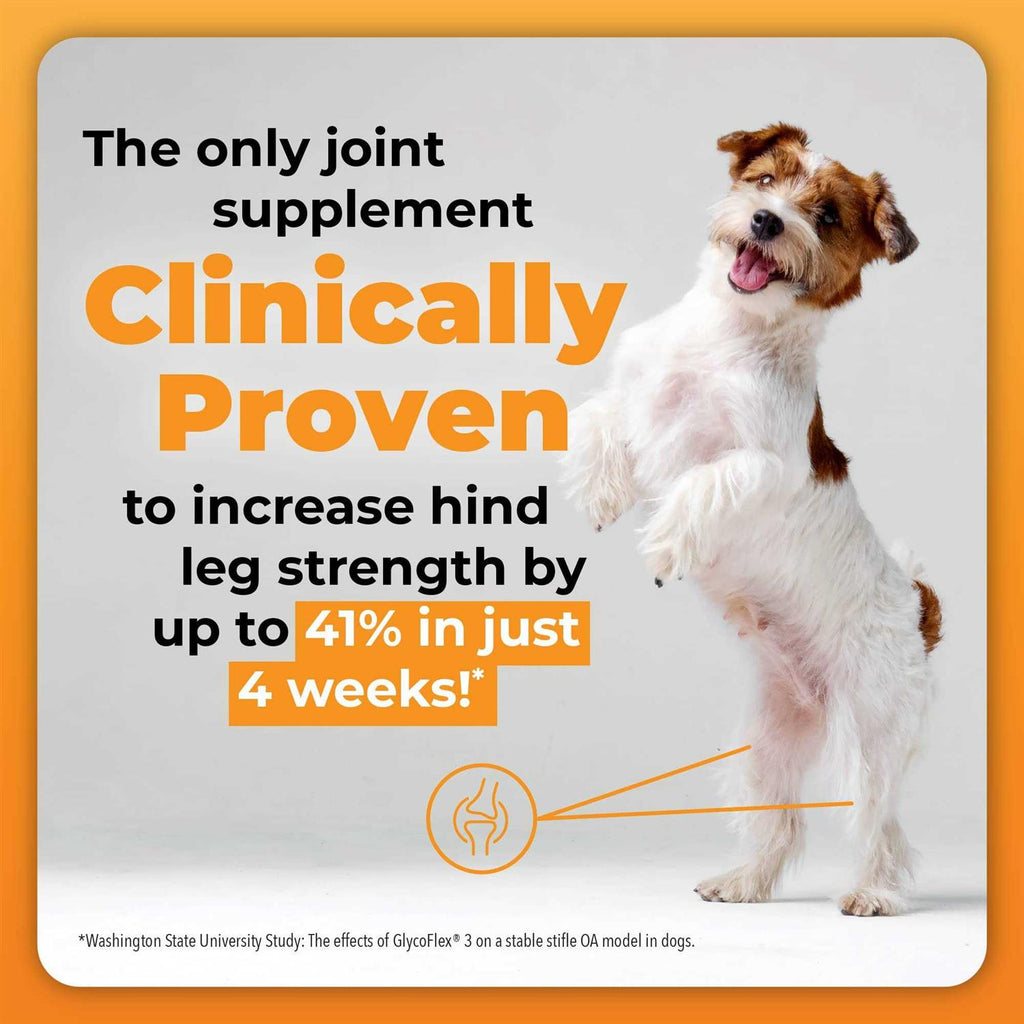 GlycoFlex Plus for Dogs G713