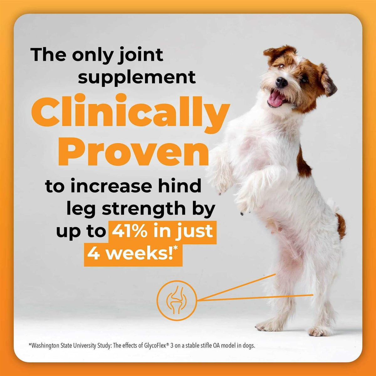 GlycoFlex Plus for Dogs G713
