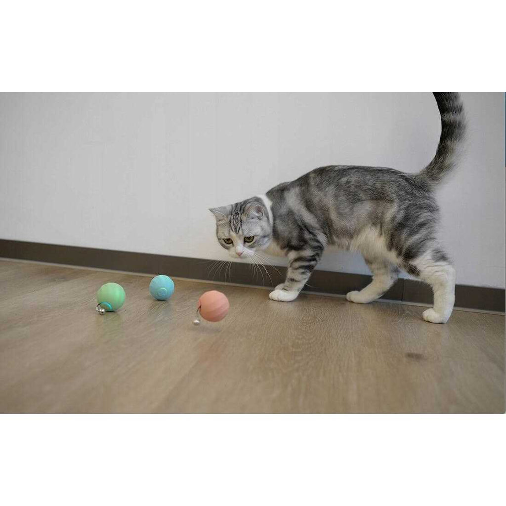 Interactive Cat Toy Ball X4413