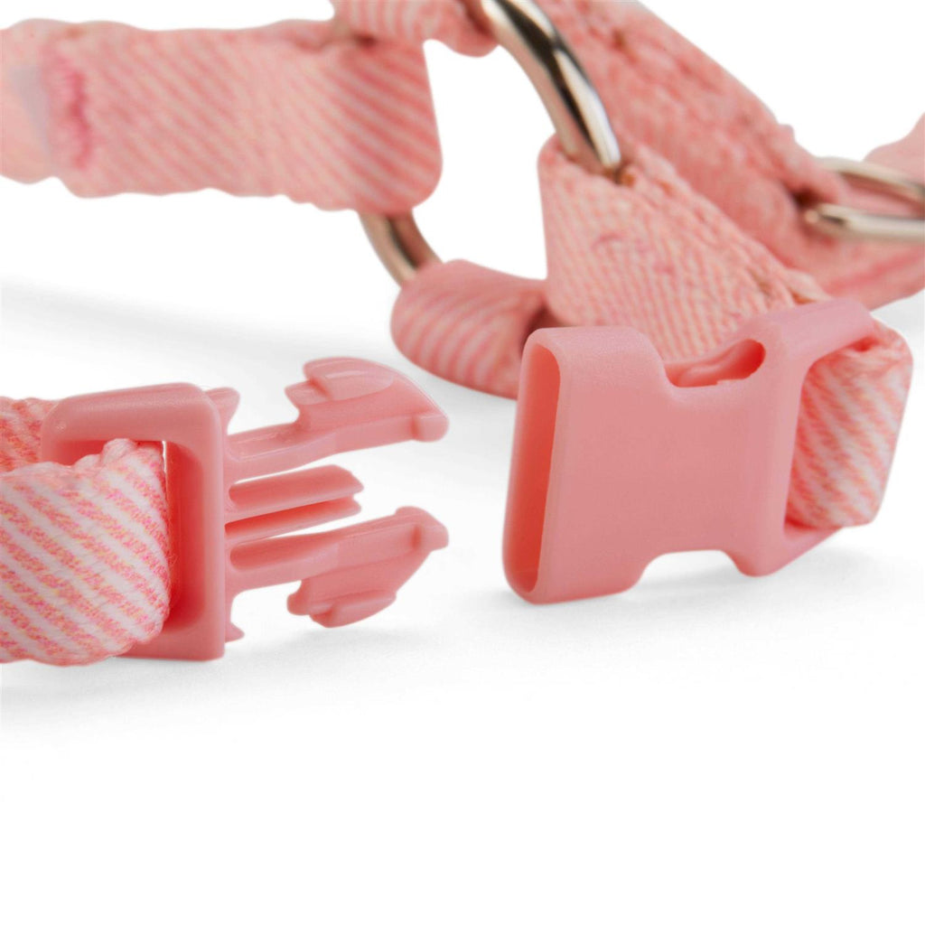 Kitten Harness & Leash Set Z716382