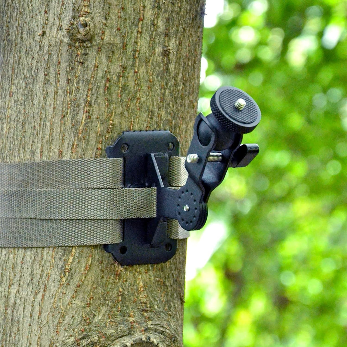 Trail Camera Mounting Bracket H59478