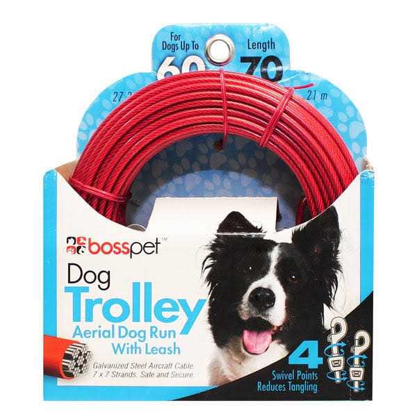 50ft Trolley X756763