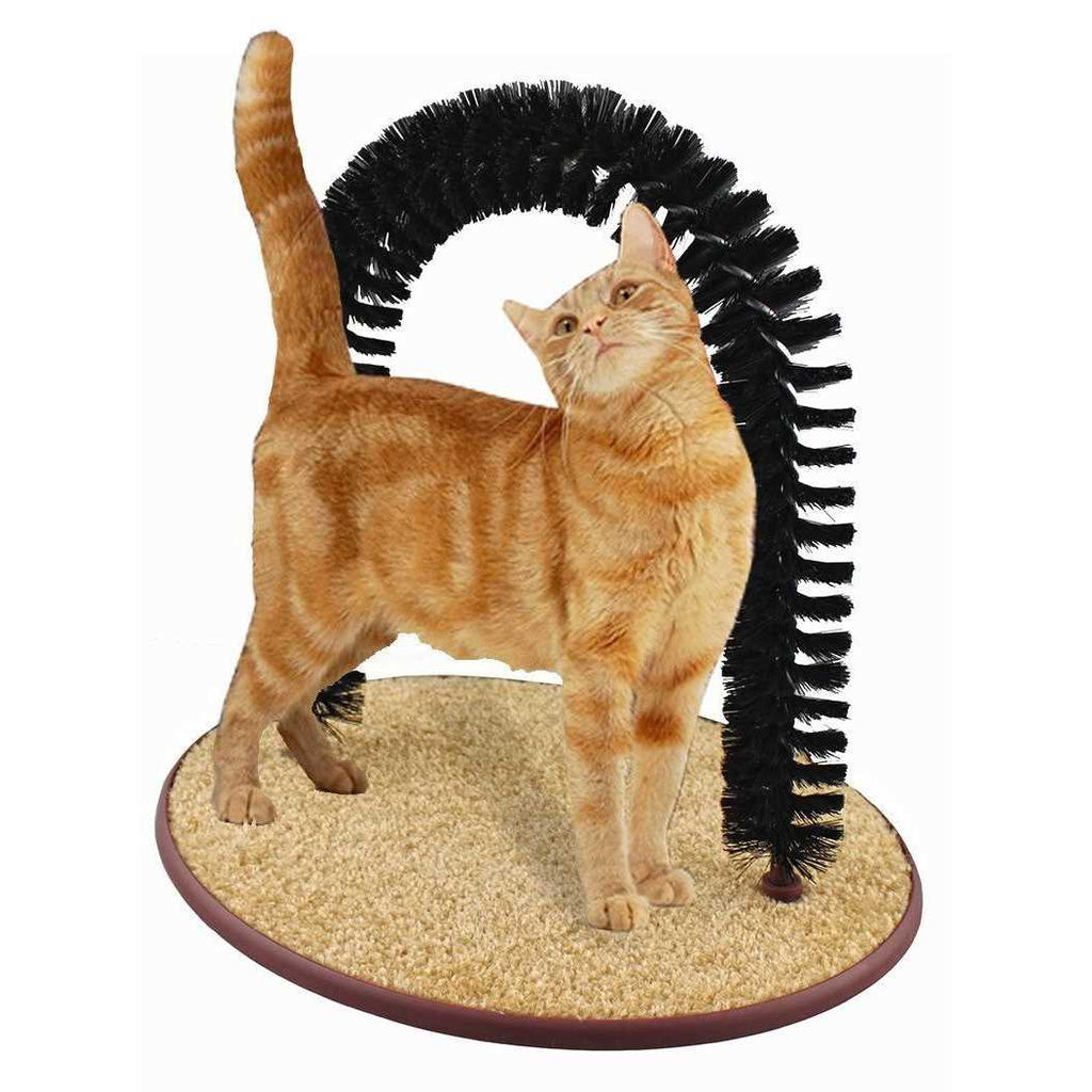 Cat Grooming Arch with Catnip D959687