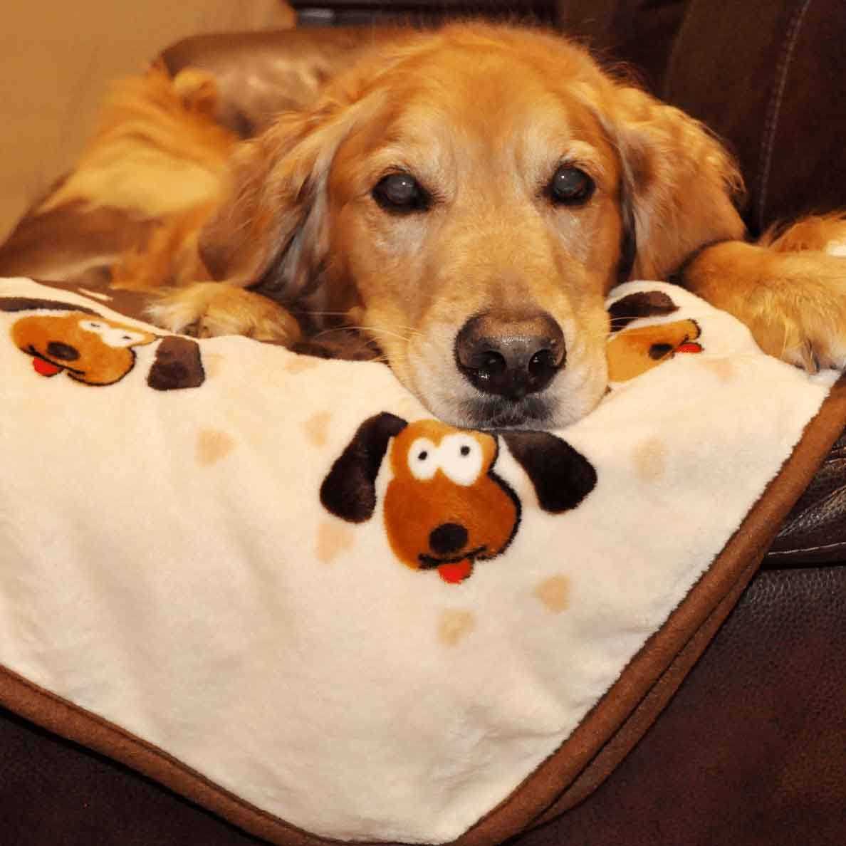 Blanket for Pets P920483